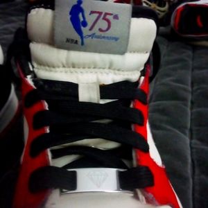 Nike Dunk Low 75th Anniversary